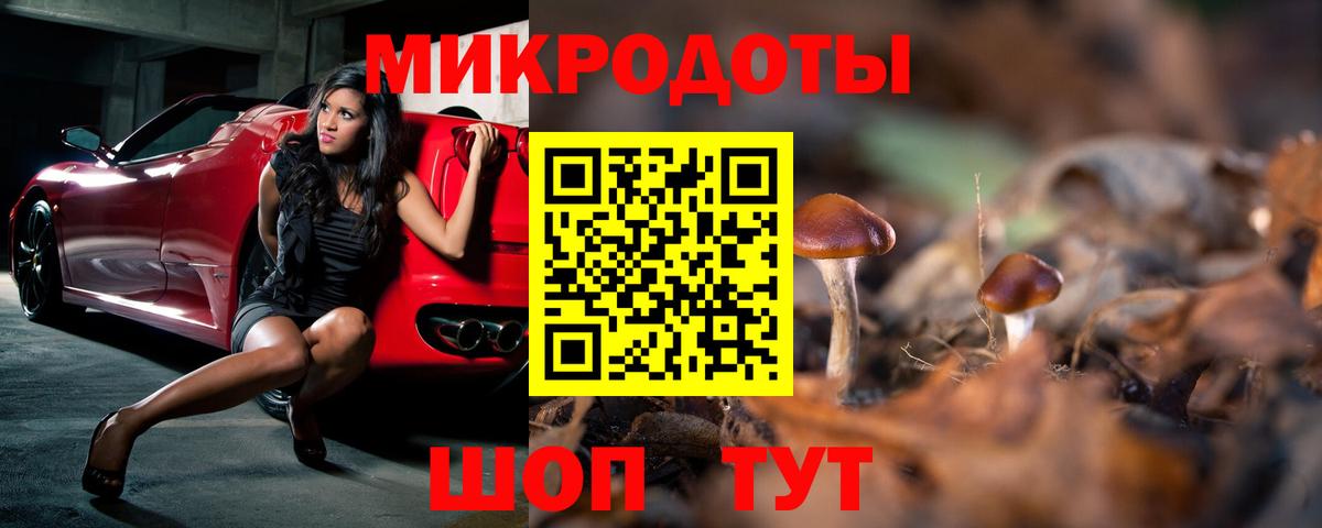 Кольчугино  Галлюциногенные грибы GOLDEN TEACHER  Вход с VPN 